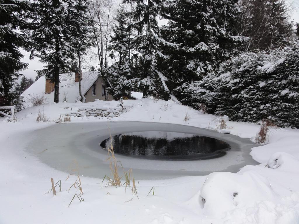 Hotel Pavla Vysocina نوفي ميستو نا مورافي المظهر الخارجي الصورة