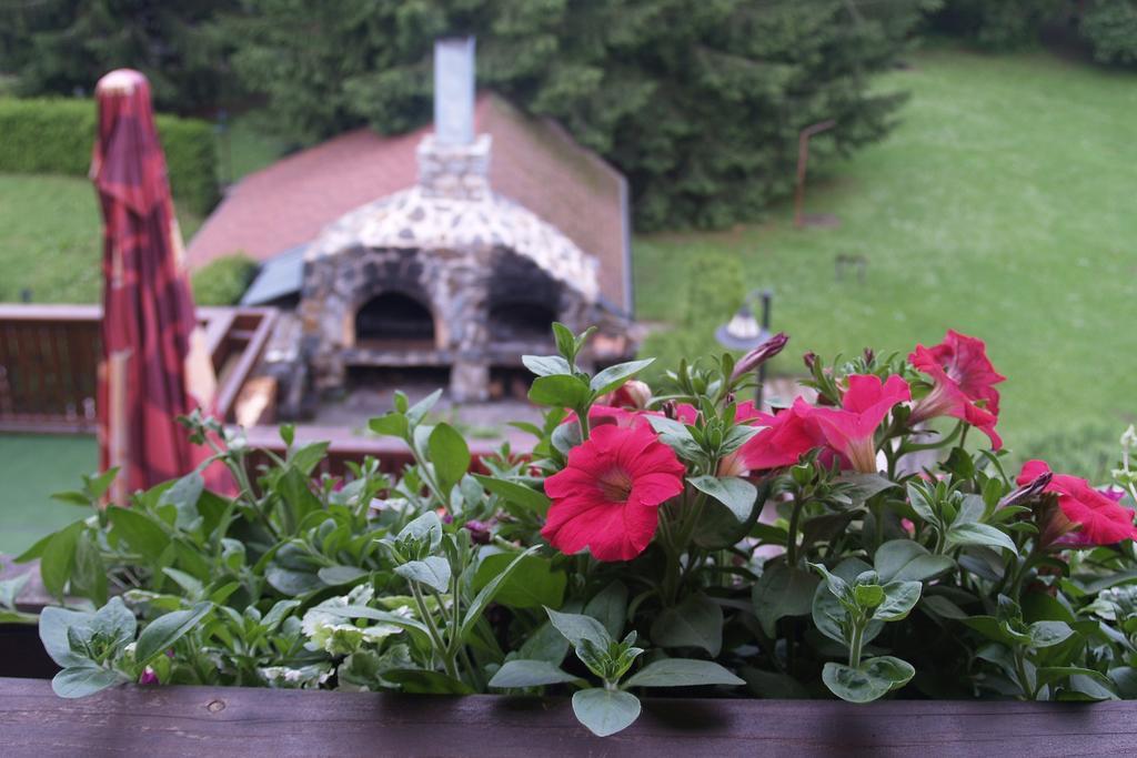 Hotel Pavla Vysocina نوفي ميستو نا مورافي الغرفة الصورة